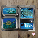 PlanetBox Launch Personalized Magnets - Sea Turtles - Max & Otis Designs