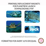 PlanetBox Launch Personalized Magnets - Sea Turtles - Max & Otis Designs