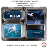 PlanetBox Launch Personalized Magnets - Whales - Max & Otis Designs