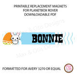 PlanetBox Rover Personalized Magnets - Easter Bunny - Max & Otis Designs