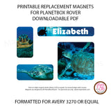 PlanetBox Rover Personalized Magnets - Sea Turtles - Max & Otis Designs