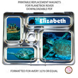 PlanetBox Rover Personalized Magnets - Sea Turtles - Max & Otis Designs