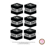Minecraft TNT (Black) Stickers - Max & Otis Designs