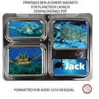 PlanetBox Launch Personalized Magnets - Sea Turtles - Max & Otis Designs