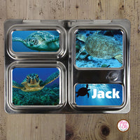 PlanetBox Launch Personalized Magnets - Sea Turtles - Max & Otis Designs