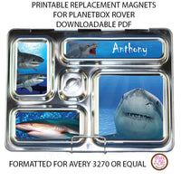 PlanetBox Rover Personalized Magnets - Sharks - Max & Otis Designs