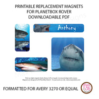 PlanetBox Rover Personalized Magnets - Sharks - Max & Otis Designs