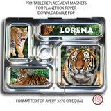 PlanetBox Rover Personalized Magnets - Tigers - Max & Otis Designs